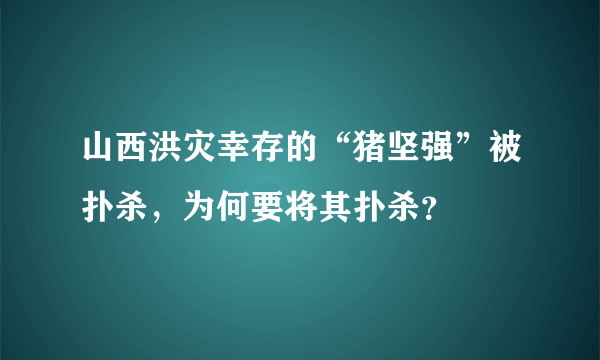 山西洪灾幸存的“猪坚强”被扑杀，为何要将其扑杀？