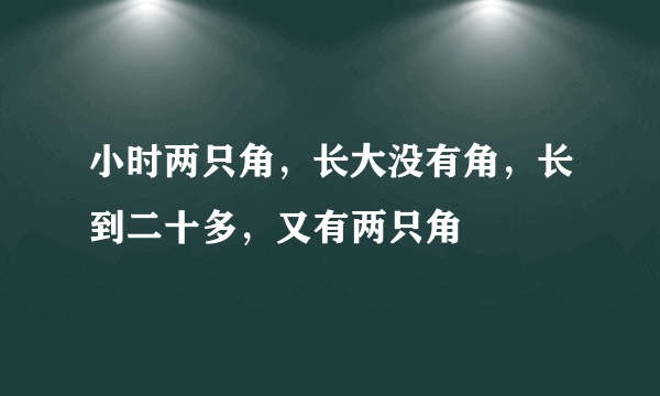 小时两只角，长大没有角，长到二十多，又有两只角