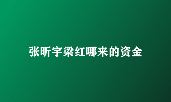 张昕宇梁红哪来的资金