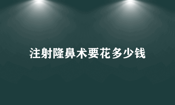 注射隆鼻术要花多少钱