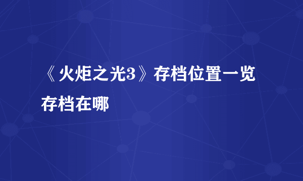 《火炬之光3》存档位置一览 存档在哪