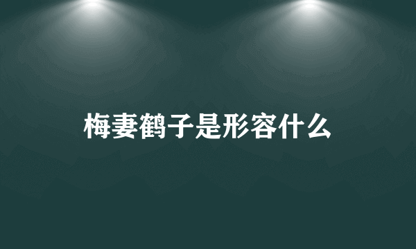 梅妻鹤子是形容什么