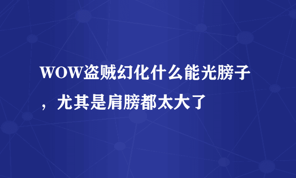 WOW盗贼幻化什么能光膀子，尤其是肩膀都太大了