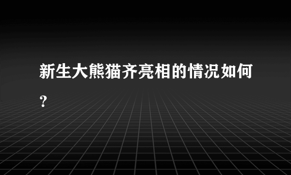 新生大熊猫齐亮相的情况如何？