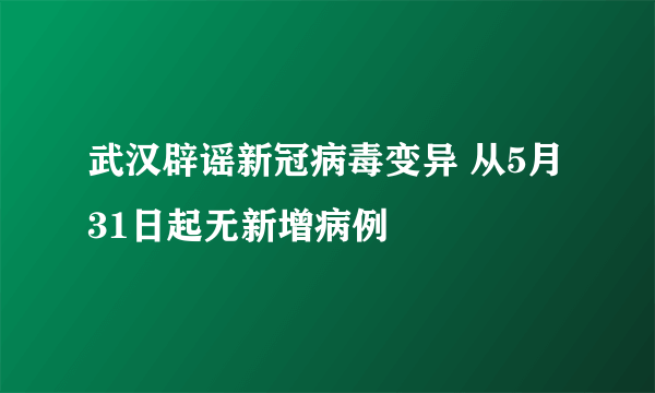 武汉辟谣新冠病毒变异 从5月31日起无新增病例