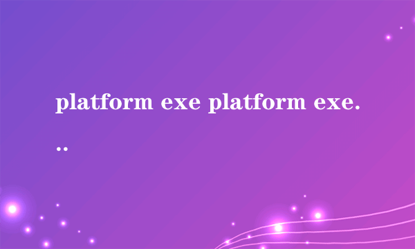 platform exe platform exe怎么样）