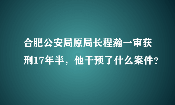 合肥公安局原局长程瀚一审获刑17年半，他干预了什么案件？