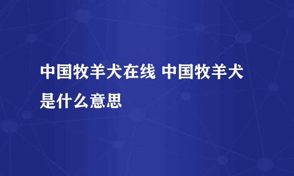 中国牧羊犬在线 中国牧羊犬是什么意思