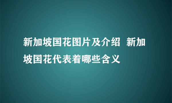 新加坡国花图片及介绍  新加坡国花代表着哪些含义