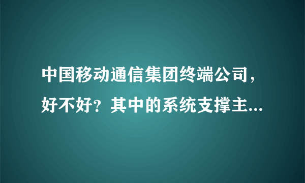 中国移动通信集团终端公司，好不好？其中的系统支撑主要工作是什么？