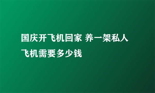 国庆开飞机回家 养一架私人飞机需要多少钱