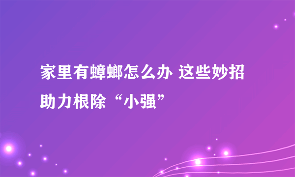 家里有蟑螂怎么办 这些妙招助力根除“小强”