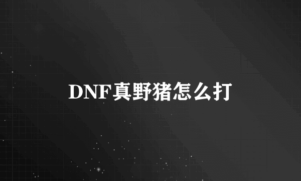 DNF真野猪怎么打