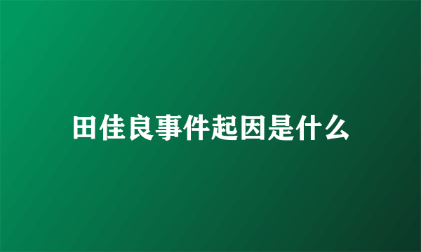 田佳良事件起因是什么