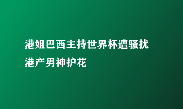 港姐巴西主持世界杯遭骚扰 港产男神护花