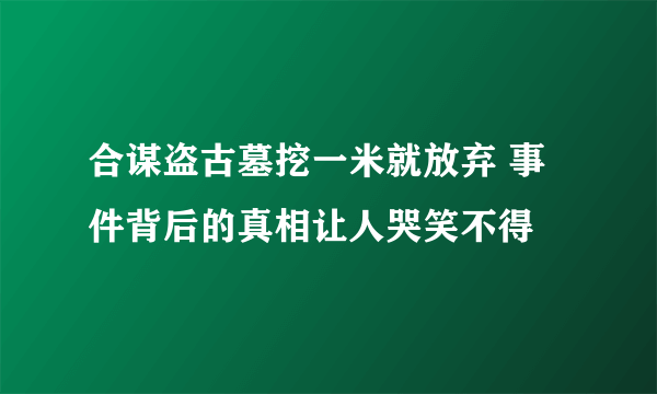 合谋盗古墓挖一米就放弃 事件背后的真相让人哭笑不得