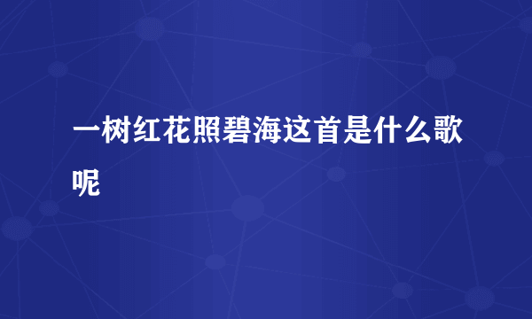 一树红花照碧海这首是什么歌呢