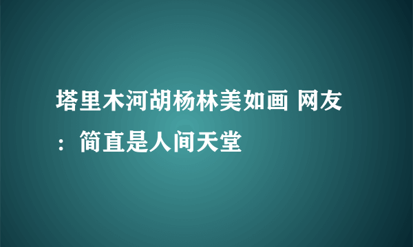 塔里木河胡杨林美如画 网友：简直是人间天堂