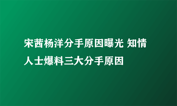 宋茜杨洋分手原因曝光 知情人士爆料三大分手原因