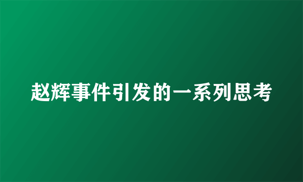 赵辉事件引发的一系列思考