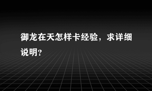 御龙在天怎样卡经验，求详细说明？