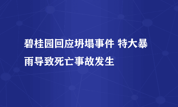 碧桂园回应坍塌事件 特大暴雨导致死亡事故发生