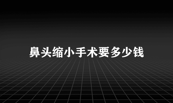 鼻头缩小手术要多少钱