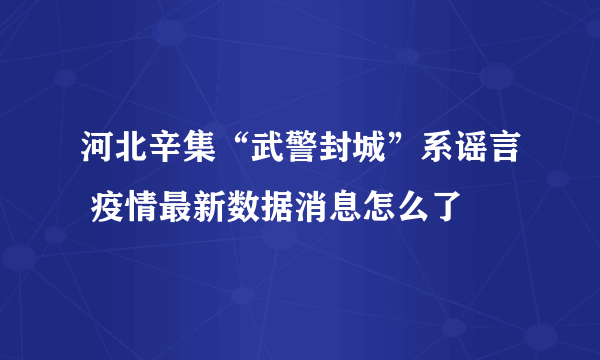 河北辛集“武警封城”系谣言 疫情最新数据消息怎么了