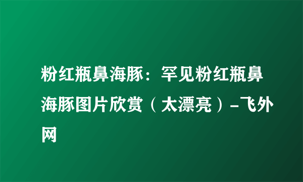 粉红瓶鼻海豚：罕见粉红瓶鼻海豚图片欣赏（太漂亮）-飞外网