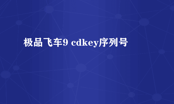 极品飞车9 cdkey序列号