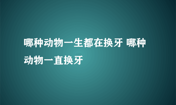 哪种动物一生都在换牙 哪种动物一直换牙