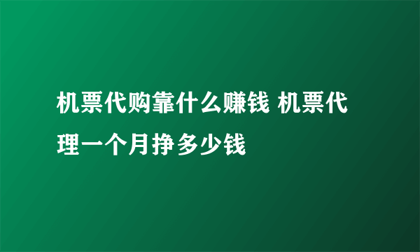 机票代购靠什么赚钱 机票代理一个月挣多少钱