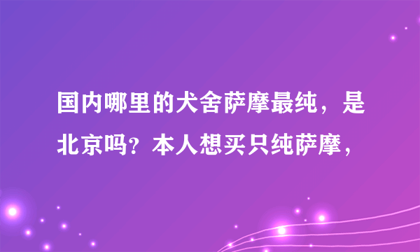 国内哪里的犬舍萨摩最纯，是北京吗？本人想买只纯萨摩，