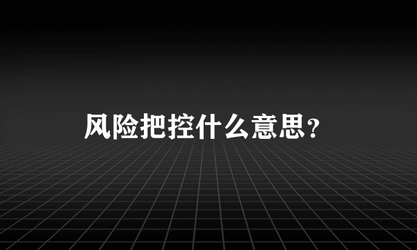 风险把控什么意思？