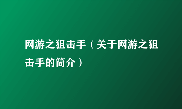 网游之狙击手（关于网游之狙击手的简介）