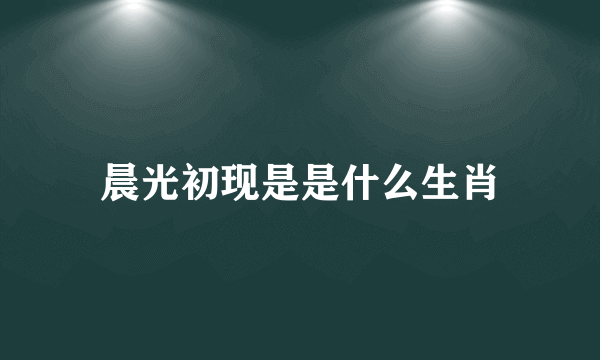 晨光初现是是什么生肖