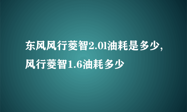 东风风行菱智2.0l油耗是多少,风行菱智1.6油耗多少